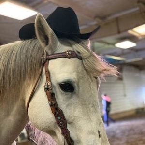 Meet your Posher, Violet